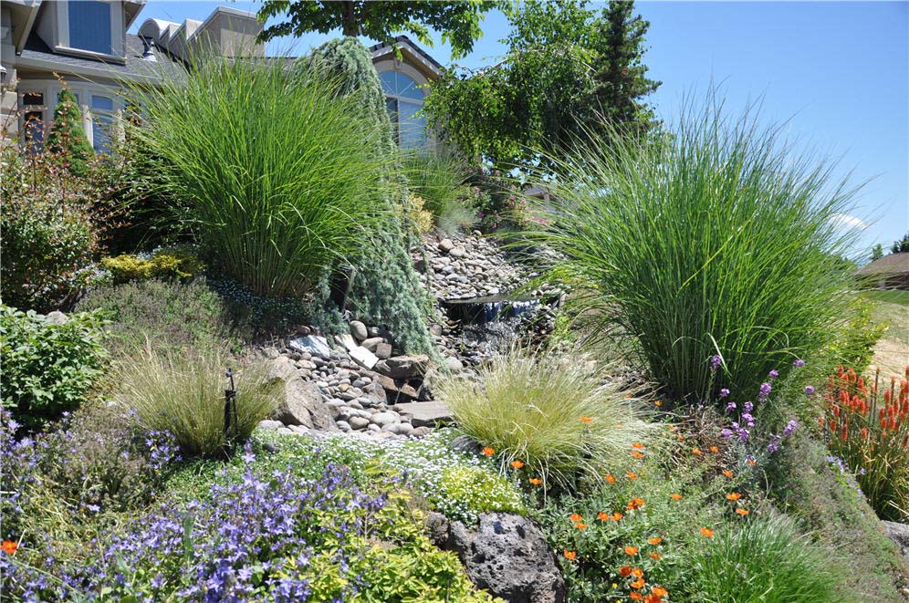 Rock and Perennial Hillside