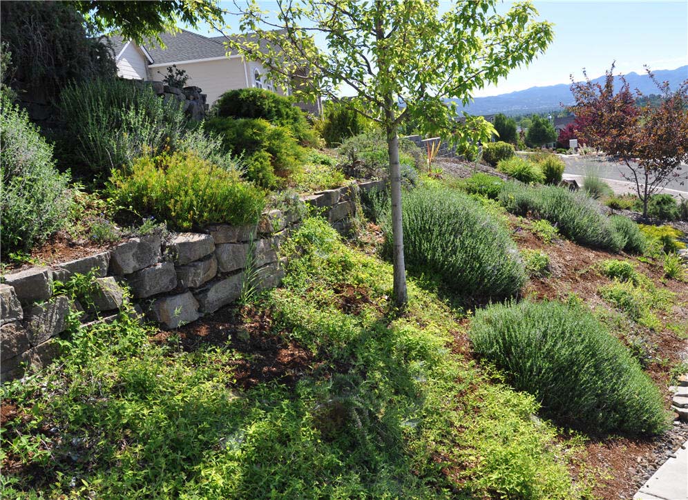 Retaining Wall and Slope