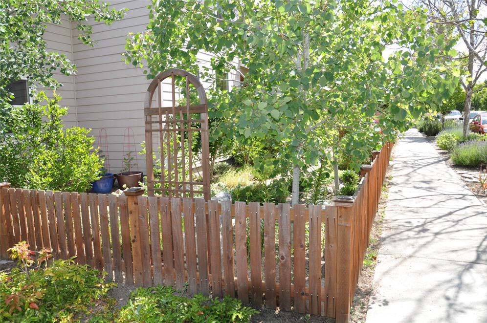 Low Wood Fence and Tree