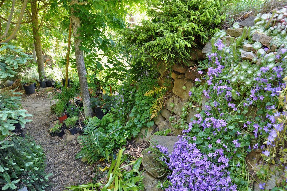 Rock Wall All Green and Blue