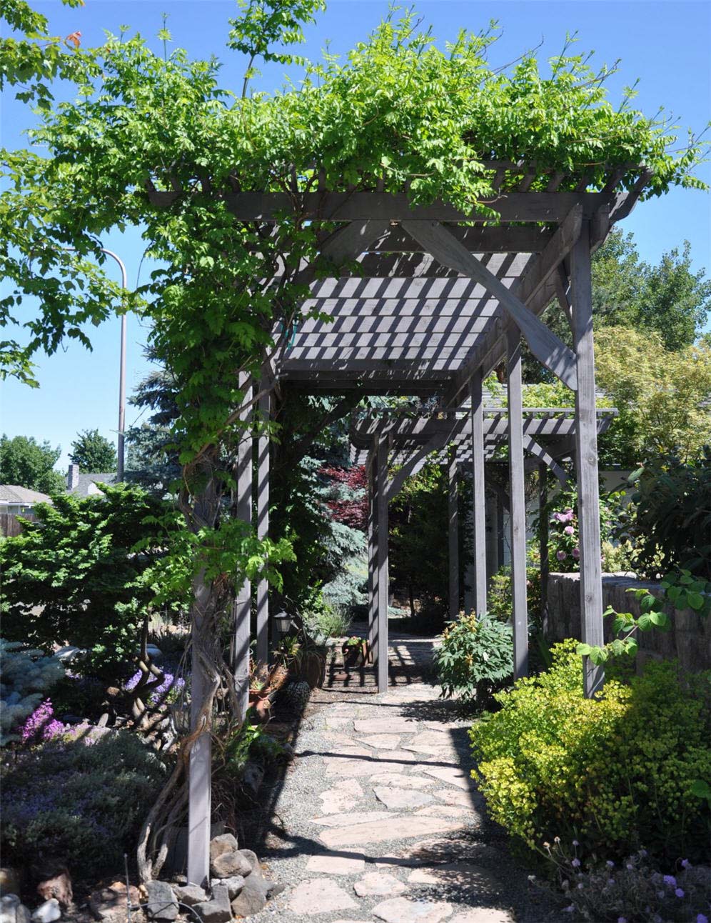 Front Garden Arbor