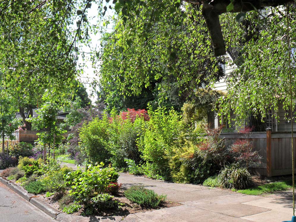 Courtyard Garden 3