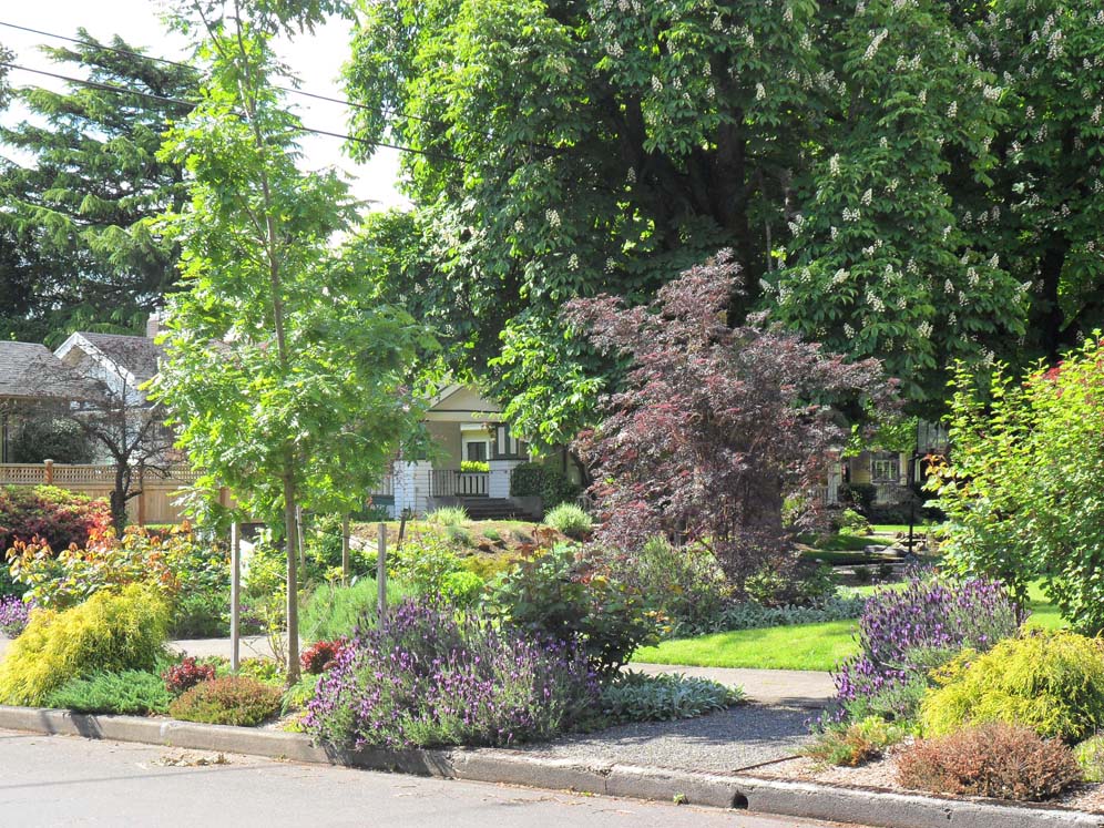 Courtyard Garden 4