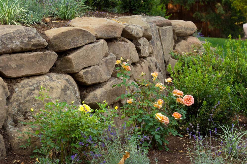 Plantings Along Rock Wall