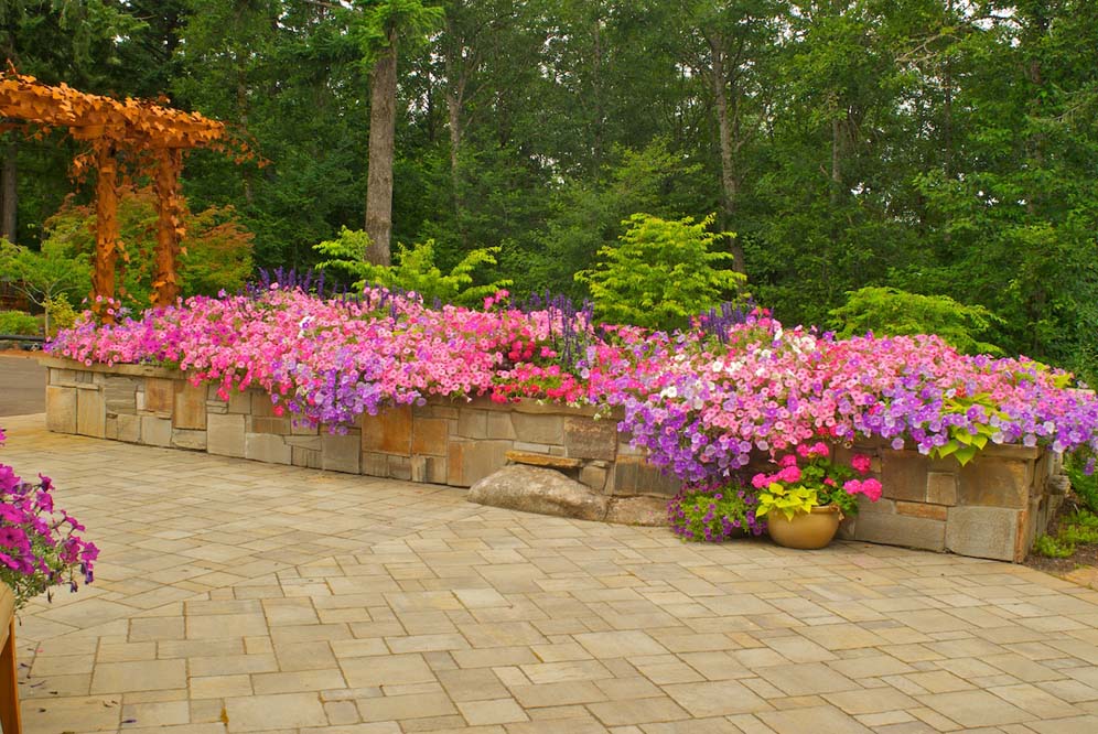 Flagstone Entry Garden 6