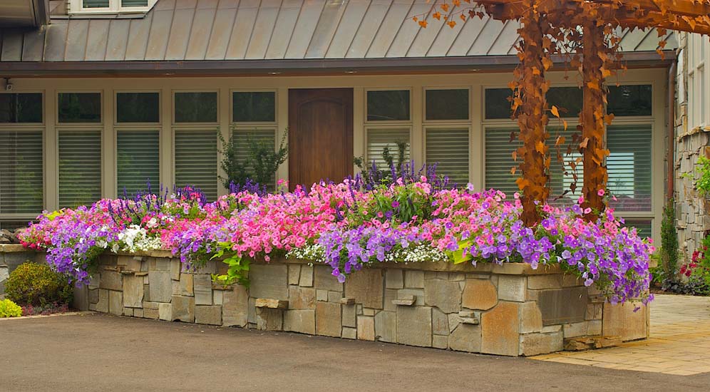 Flagstone Entry Garden 24